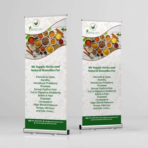 Download Healthcare Pull Up Banner Template Psd File