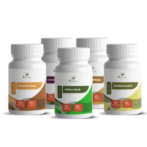 Supplement Product Design Template Yellow Dock Bladderwrack Sea Moss Sarsaparilla Burdock Root